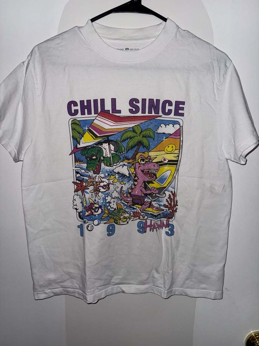 Chill Since 1993 Hawaii Graphic T-Shirt